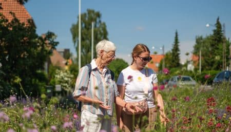ung og senior går tur